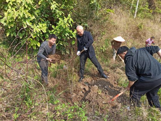 縣政務和數據局到小江鎮開展植樹活動.jpg